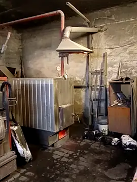 MityaXLoves online show from 01.31.26