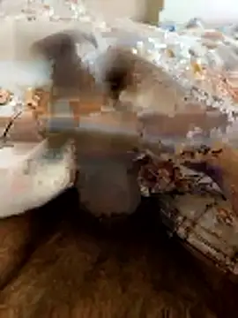 Hard stick007 online show from 01.16.26