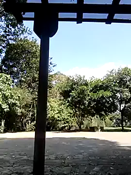 Rob and lizzy online show from 12.06.24