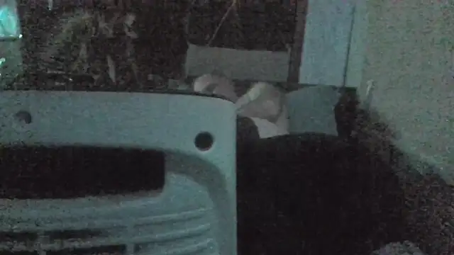 jaxx12369 online show from 02.22.26