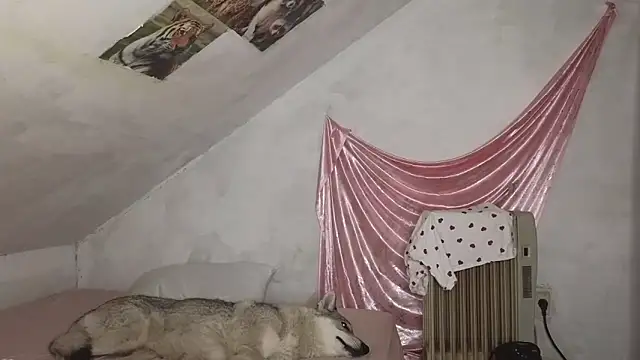 MAMA69LAMA online show from 03.09.26