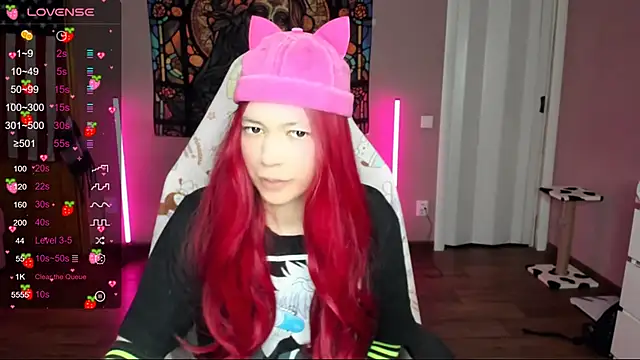 Project hisoka online show from 01.12.25