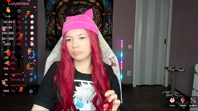 Project hisoka online show from 01.13.25