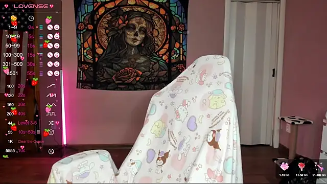 Project hisoka online show from 01.24.25