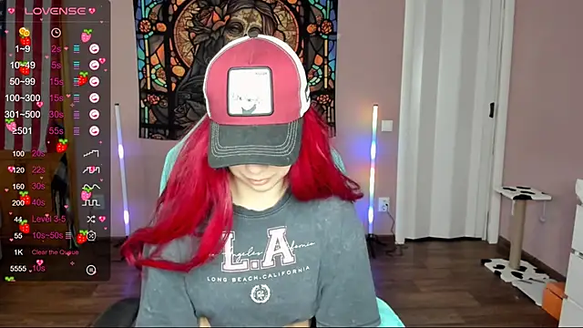 Project hisoka online show from 02.26.25