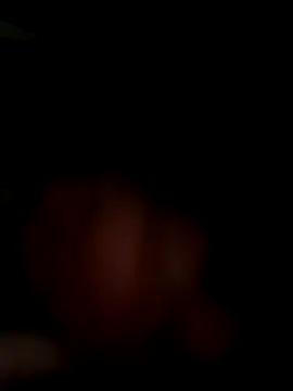 MynameisPaco online show from 11.11.25