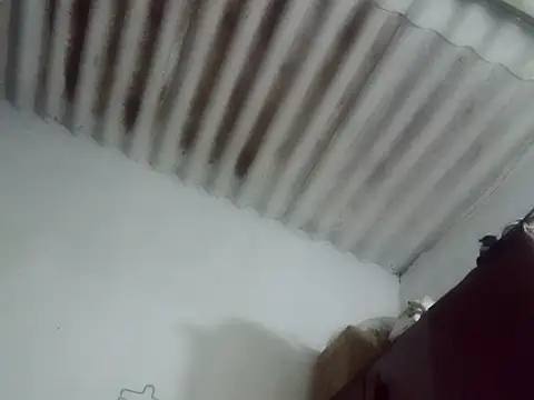 Rooojjk online show from 10.07.25