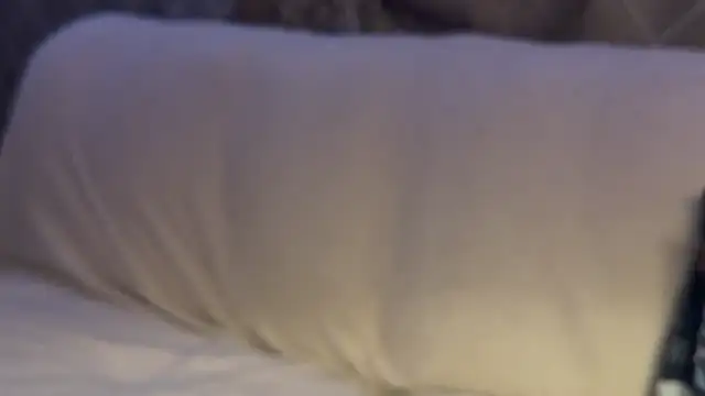 max o max42 online show from 03.01.25