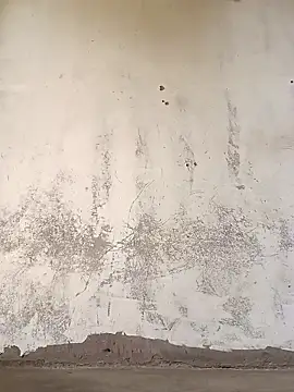 Yasha 14C Creator online show from 11.08.25