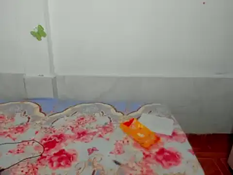 Dana Jeins online show from 02.11.25