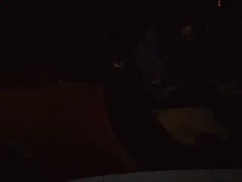 0815lukas2024 online show from 01.16.25