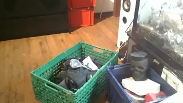 0815lukas2024 online show from 01.16.25