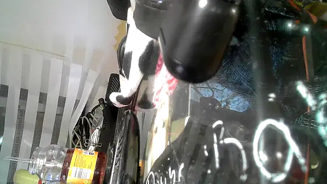 0815lukas2024 online show from 09.09.25