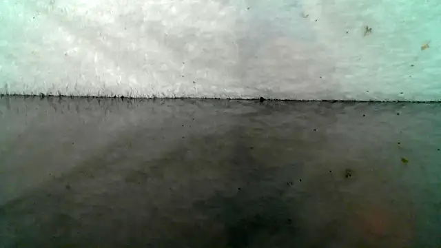 0815lukas2024 online show from 10.22.25