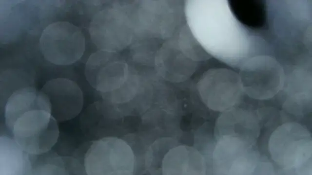 0815lukas2024 online show from 12.22.25