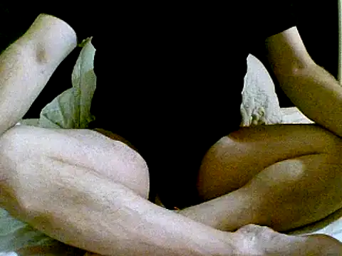 Snapshot of pollarikaaa chatting on 12.02.24 pollarikaaa online show from 12.02.24