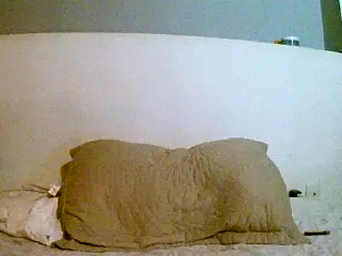 Snapshot of pollarikaaa chatting on 03.04.25 pollarikaaa online show from 03.04.25