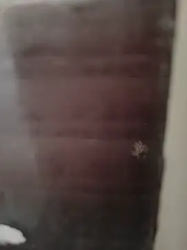 hardgetsex online show from 09.29.25