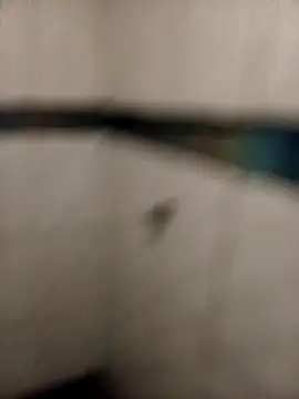 Snapshot of ladygmusic chatting on 02.06.26 ladygmusic online show from 02.06.26