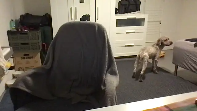 Totipro69 online show from 02.16.25