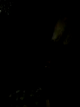 Tamil boy age28 online show from 02.15.25