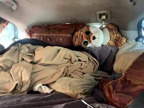 SlimeCrownzOut5 online show from 01.11.26