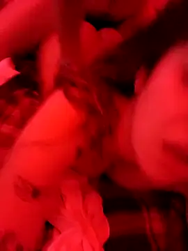 Snapshot of Elenitacandy chatting on 11.19.25 Elenitacandy online show from 11.19.25