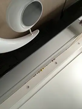 palzkybi123 online show from 04.01.26