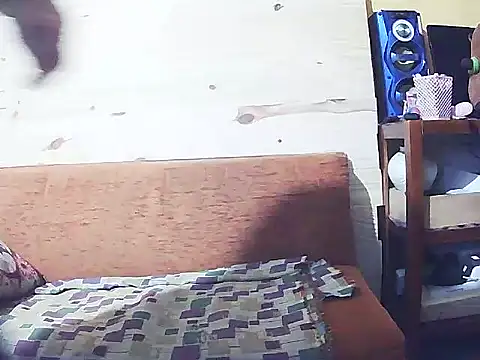 DiAntool online show from 10.06.25