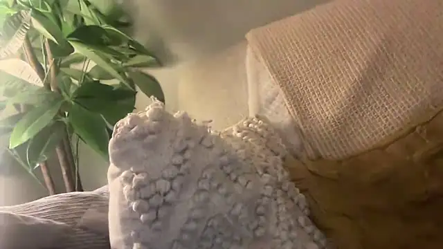 toptugger online show from 10.17.25