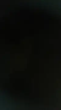 Snapshot of Peshi123 chatting on 03.02.25 Peshi123 online show from 03.02.25