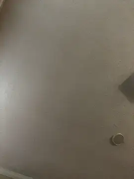 velvetta  online show from 12.18.25