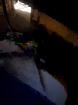 Snapshot of daddysmalldick502 chatting on 11.04.25 daddysmalldick502 online show from 11.04.25