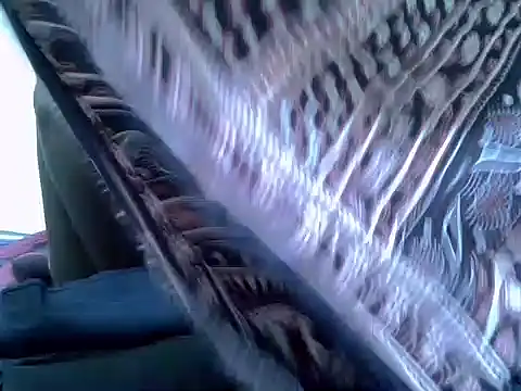 pointy bloom online show from 11.22.25