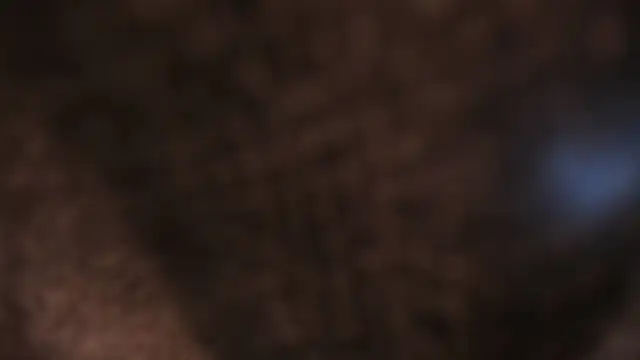 Snapshot of AliceHanz chatting on 01.08.26 AliceHanz online show from 01.08.26