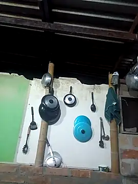 Janle 19c online show from 01.02.25