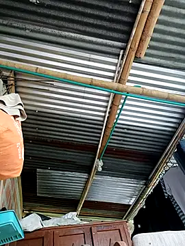 Janle 19c online show from 09.14.25