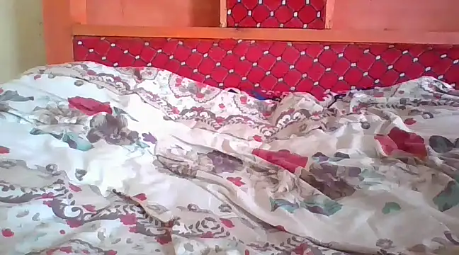 petitev online show from 12.10.24