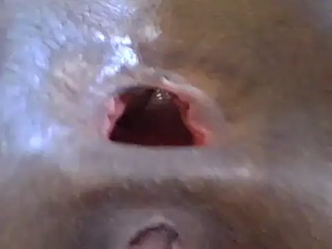 petitev online show from 12.17.24