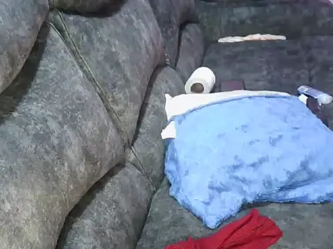 petitev online show from 03.02.26