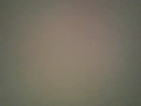 Lovensetest online show from 10.29.25