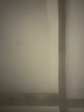 Snapshot of orient_zob chatting on 02.19.26 orient zob online show from 02.19.26