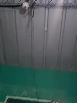 Snapshot of Cris29_84 chatting on 02.24.26 Cris29 84 online show from 02.24.26