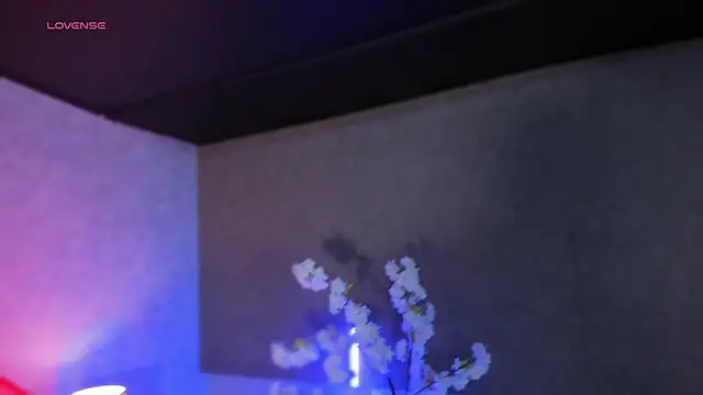 MelodyAdamss online show from 02.14.26