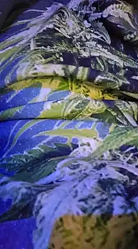 Snapshot of McdyllanXX chatting on 02.13.25 McdyllanXX online show from 02.13.25