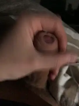 wixxer872302 online show from 02.25.26