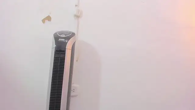 penelope handaos online show from 12.12.24