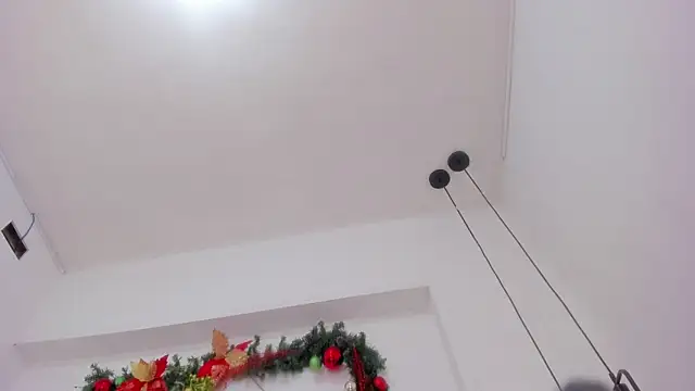 penelope handaos online show from 12.13.24