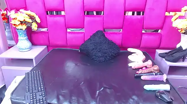 Snapshot of Lya_Anal chatting on 03.19.25 Lya Anal online show from 03.19.25