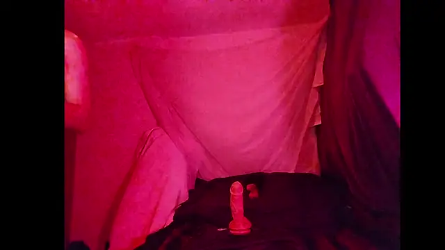 Snapshot of BushBator chatting on 03.01.26 BushBator online show from 03.01.26